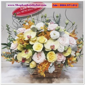 Hoa Tươi Tặng Khai Trương - OK55